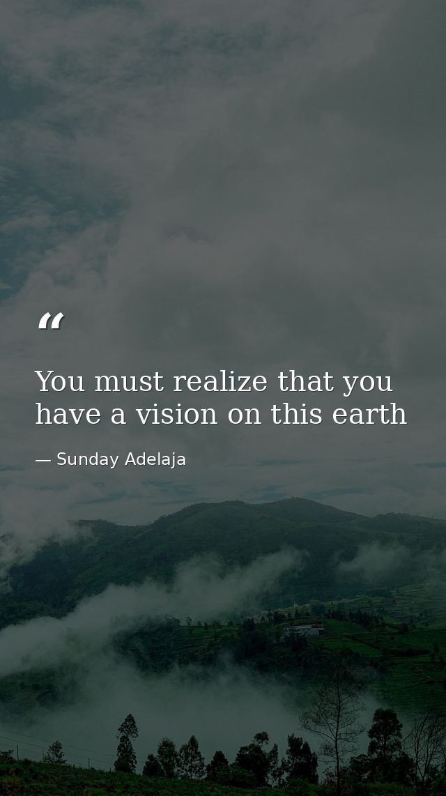 You must realize that you have a vision on this earth — Sunday Adelaja