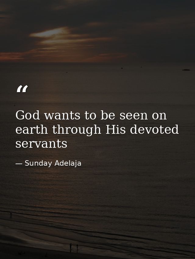 God wants to be seen on earth through His devoted servants — Sunday Adelaja