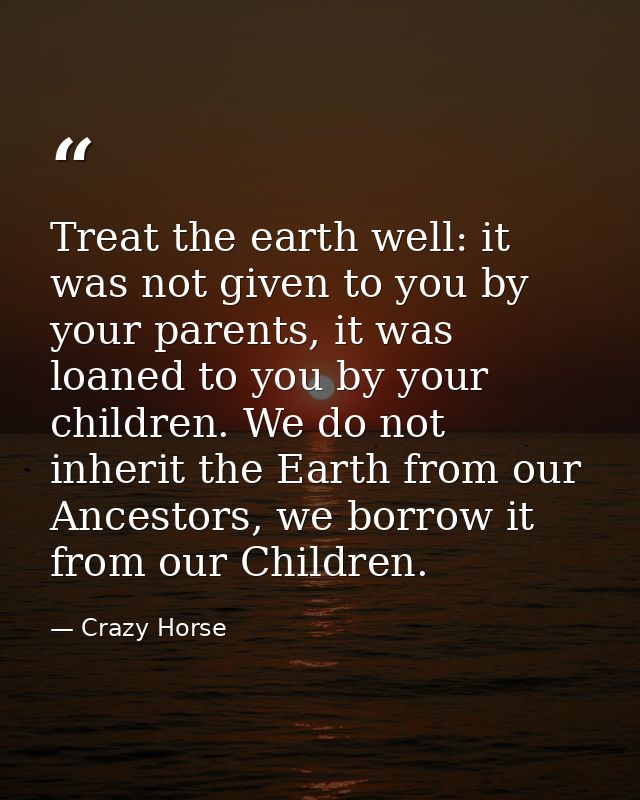 Treat the earth well: it was not given to you by your parents, it was loaned to you by your children. We do not inherit  — Crazy Horse