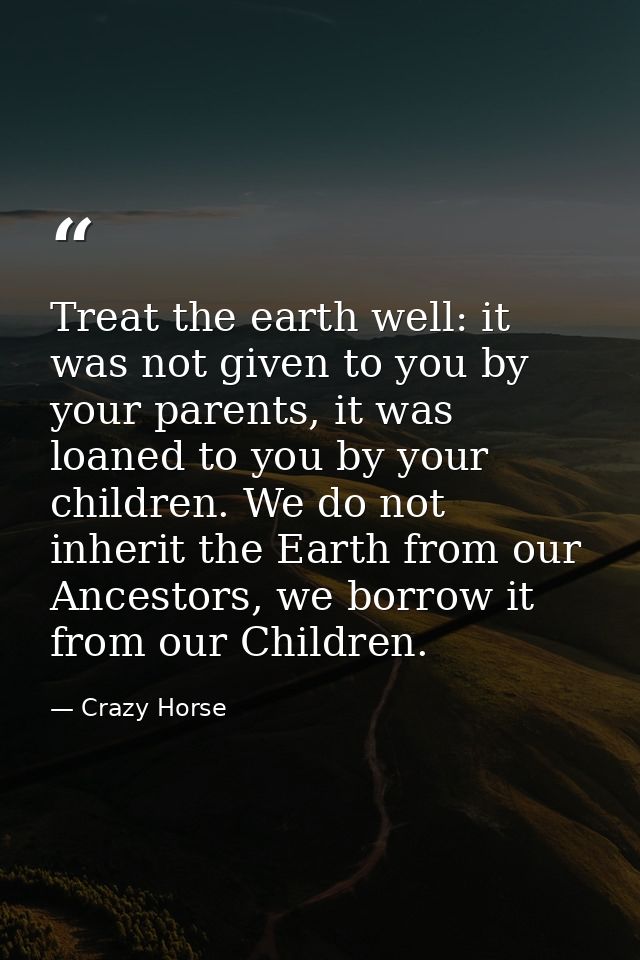 Treat the earth well: it was not given to you by your parents, it was loaned to you by your children. We do not inherit  — Crazy Horse