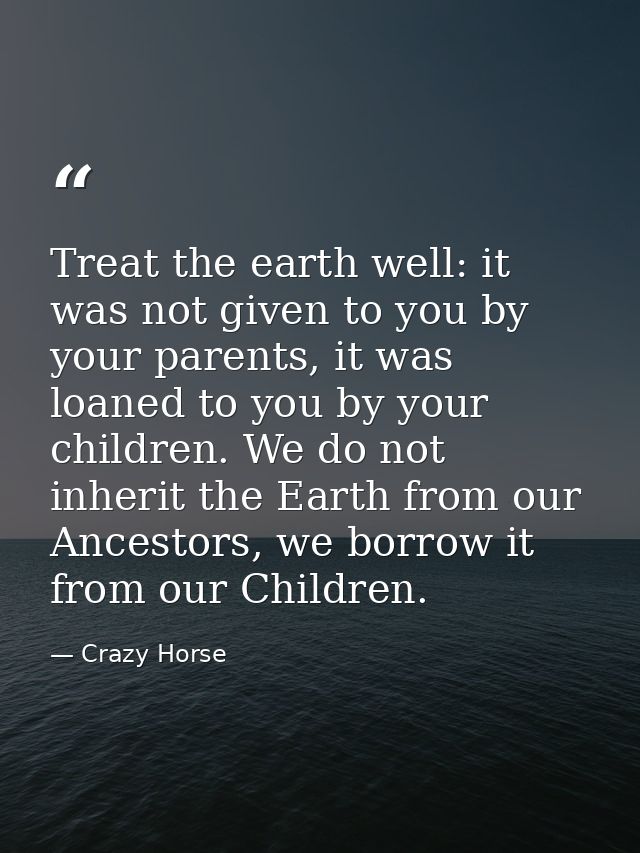 Treat the earth well: it was not given to you by your parents, it was loaned to you by your children. We do not inherit  — Crazy Horse