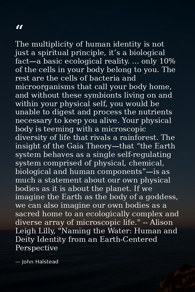 The multiplicity of human identity is not just a spiritual principle, it’s a biological fact—a basic ecological reality. — John Halstead