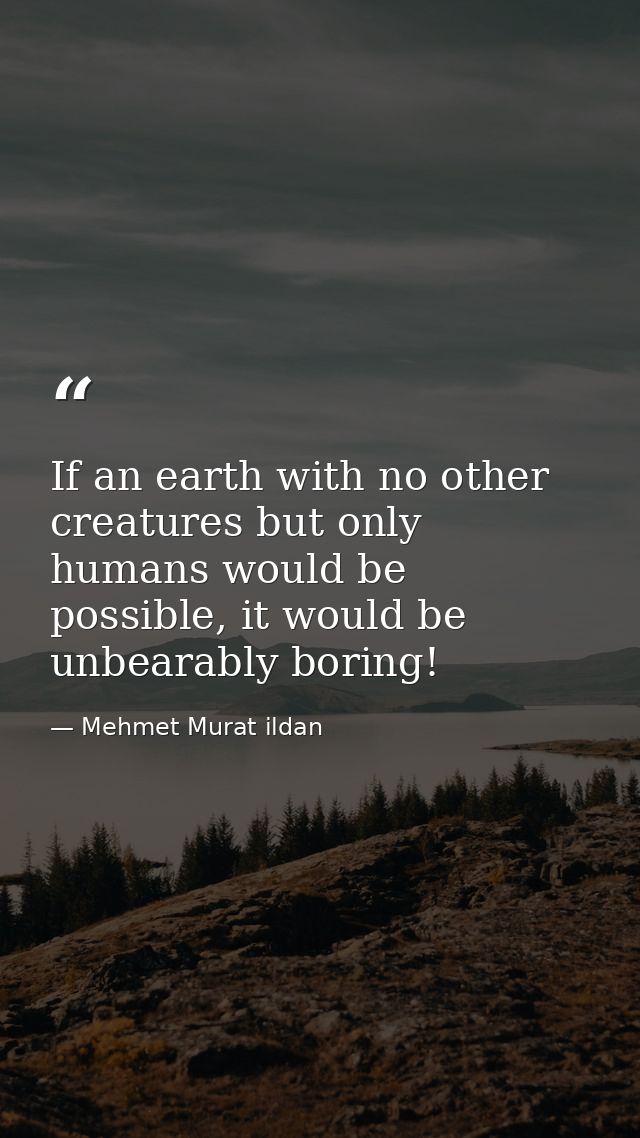 If an earth with no other creatures but only humans would be possible, it would be unbearably boring! — Mehmet Murat ildan