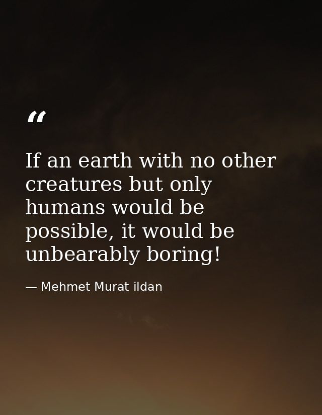 If an earth with no other creatures but only humans would be possible, it would be unbearably boring! — Mehmet Murat ildan