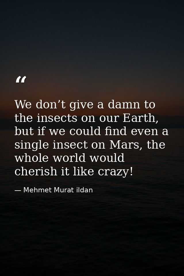 We don’t give a damn to the insects on our Earth, but if we could find even a single insect on Mars, the whole world wou — Mehmet Murat ildan