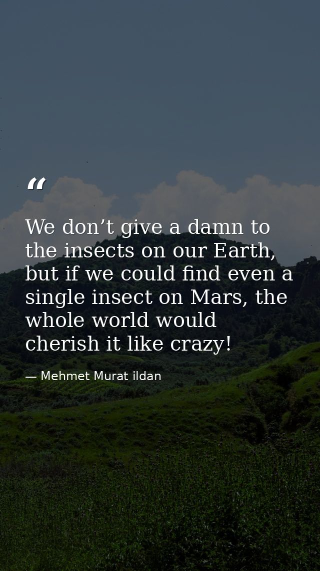 We don’t give a damn to the insects on our Earth, but if we could find even a single insect on Mars, the whole world wou — Mehmet Murat ildan