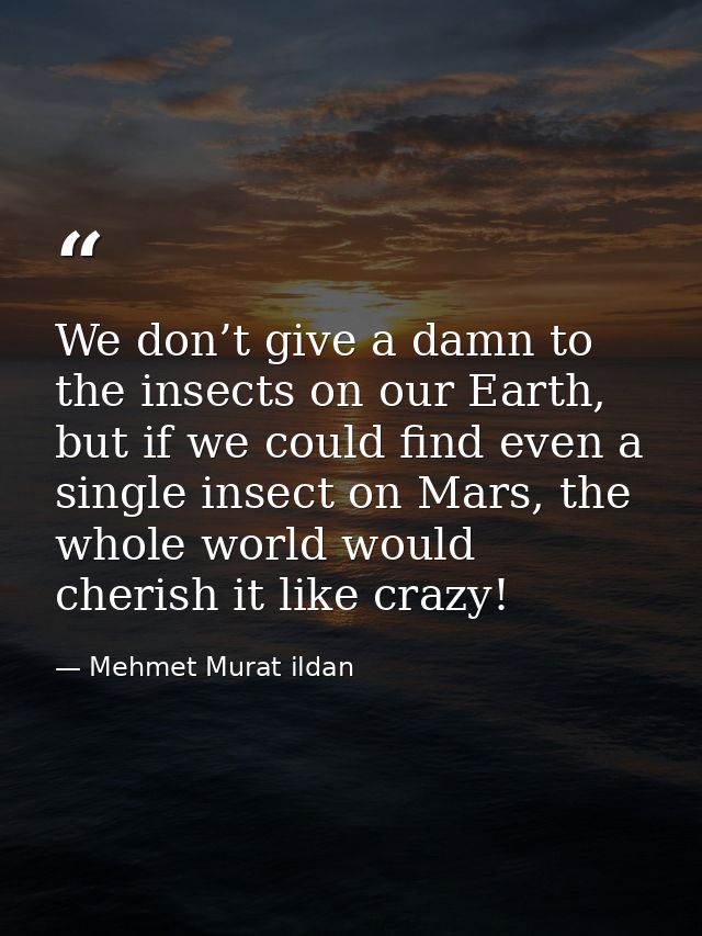We don’t give a damn to the insects on our Earth, but if we could find even a single insect on Mars, the whole world wou — Mehmet Murat ildan
