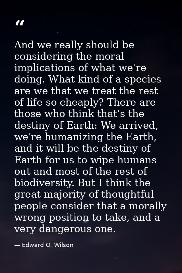 And we really should be considering the moral implications of what we're doing. What kind of a species are we that we tr — Edward O. Wilson