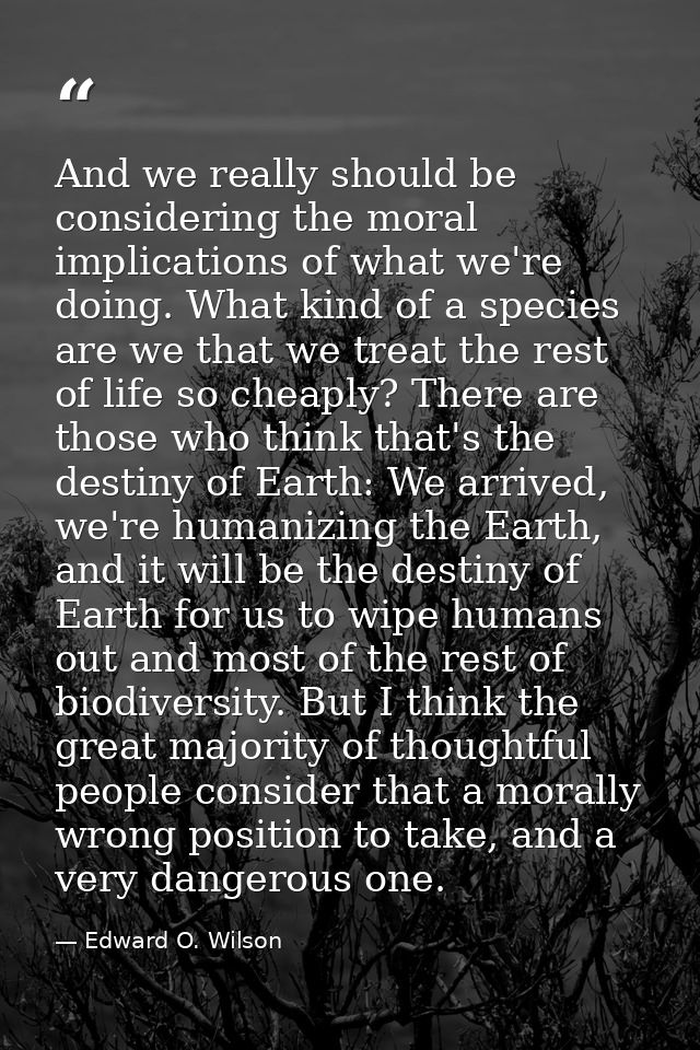 And we really should be considering the moral implications of what we're doing. What kind of a species are we that we tr — Edward O. Wilson