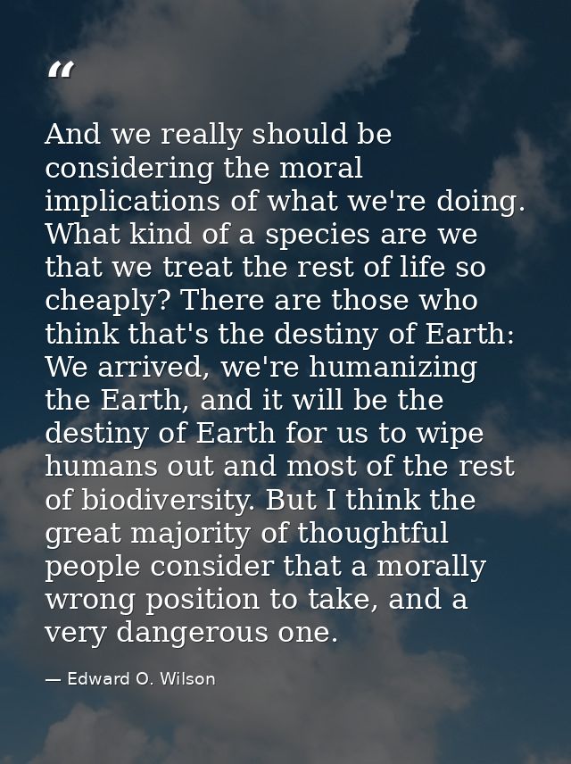And we really should be considering the moral implications of what we're doing. What kind of a species are we that we tr — Edward O. Wilson