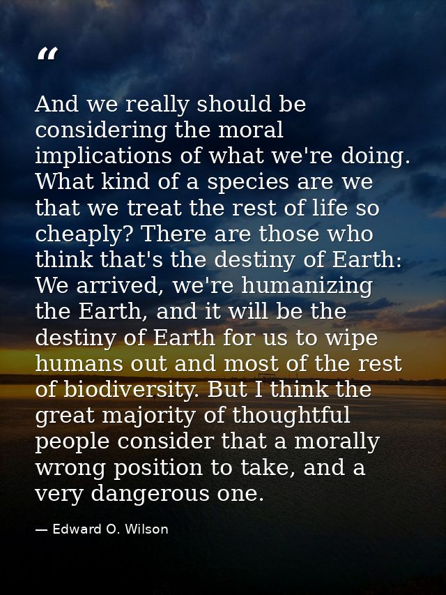 And we really should be considering the moral implications of what we're doing. What kind of a species are we that we tr — Edward O. Wilson