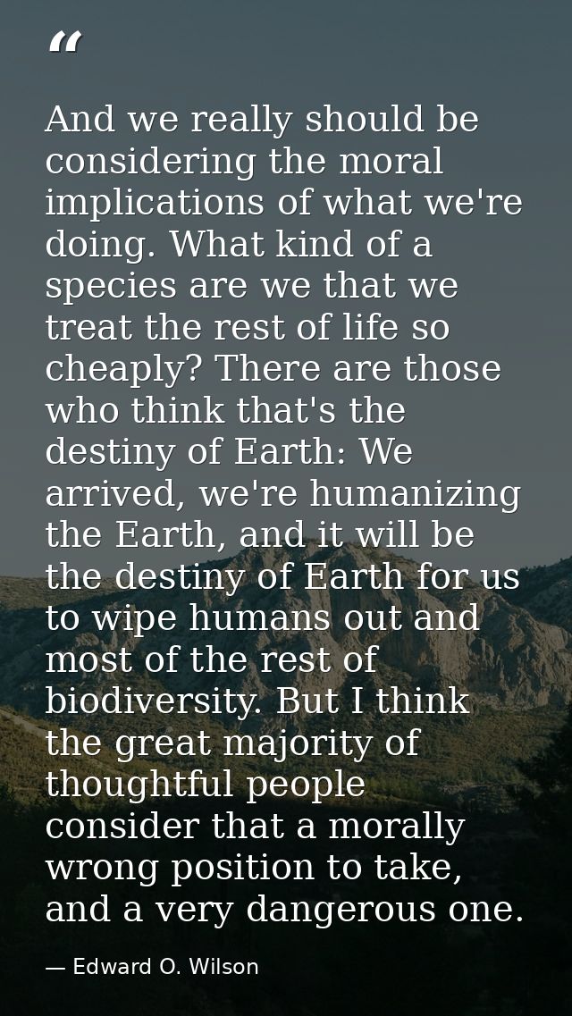 And we really should be considering the moral implications of what we're doing. What kind of a species are we that we tr — Edward O. Wilson