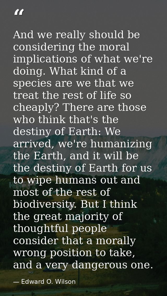 And we really should be considering the moral implications of what we're doing. What kind of a species are we that we tr — Edward O. Wilson