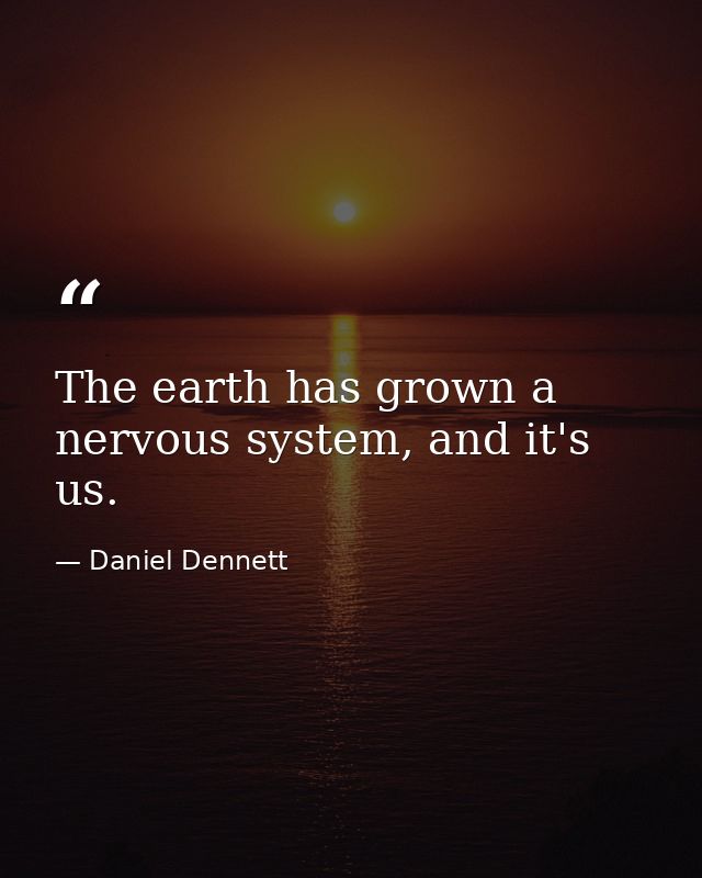 The earth has grown a nervous system, and it's us. — Daniel Dennett