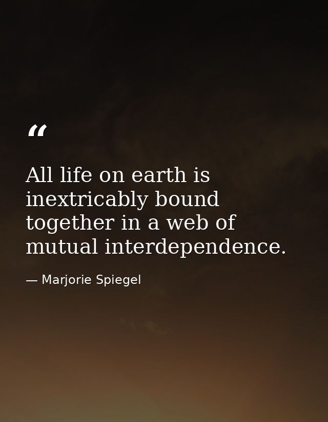 All life on earth is inextricably bound together in a web of mutual interdependence. — Marjorie Spiegel