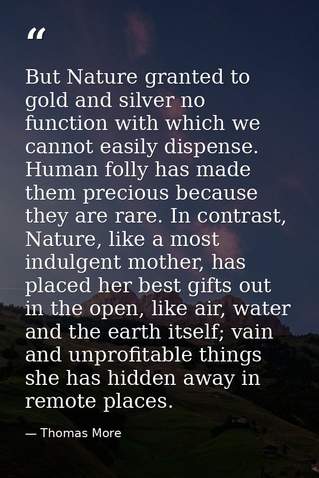 But Nature granted to gold and silver no function with which we cannot easily dispense. Human folly has made them precio — Thomas More