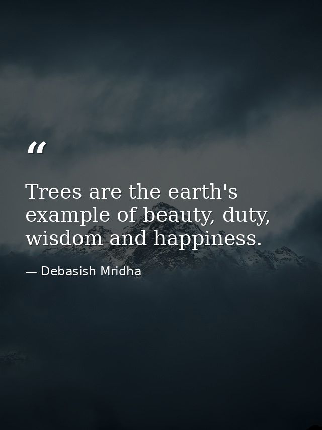 Trees are the earth's example of beauty, duty, wisdom and happiness. — Debasish Mridha