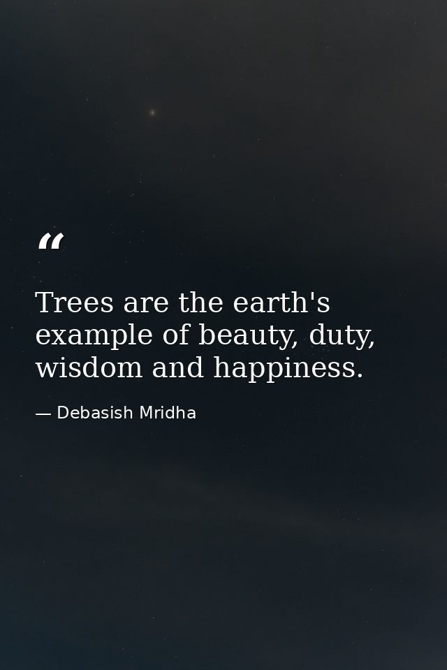 Trees are the earth's example of beauty, duty, wisdom and happiness. — Debasish Mridha