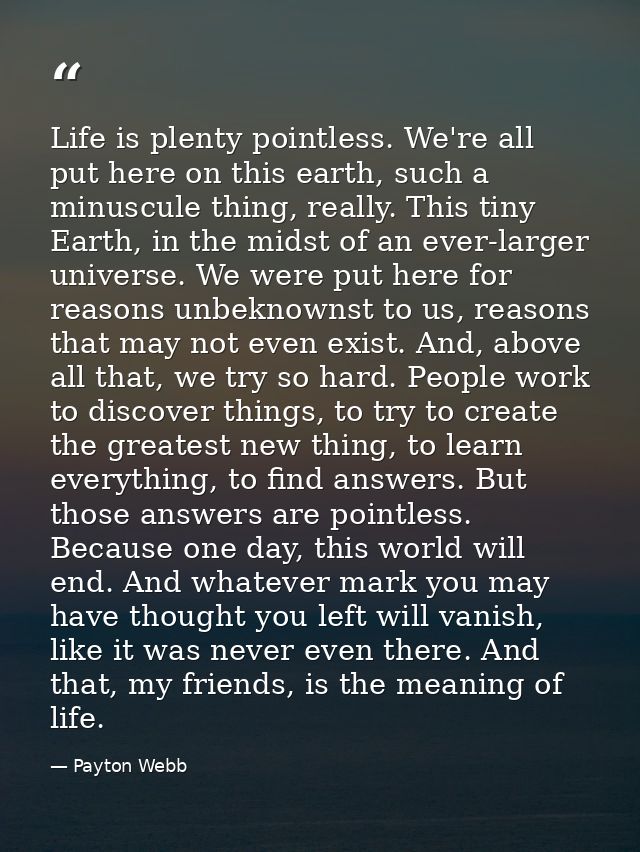 Life is plenty pointless. We're all put here on this earth, such a minuscule thing, really. This tiny Earth, in the mids — Payton Webb