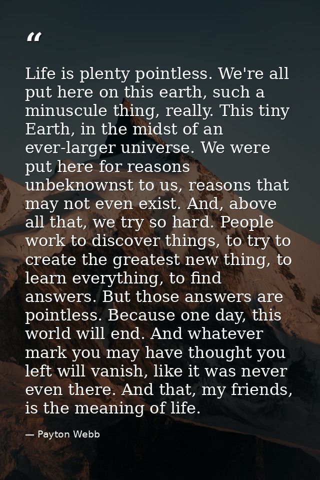 Life is plenty pointless. We're all put here on this earth, such a minuscule thing, really. This tiny Earth, in the mids — Payton Webb