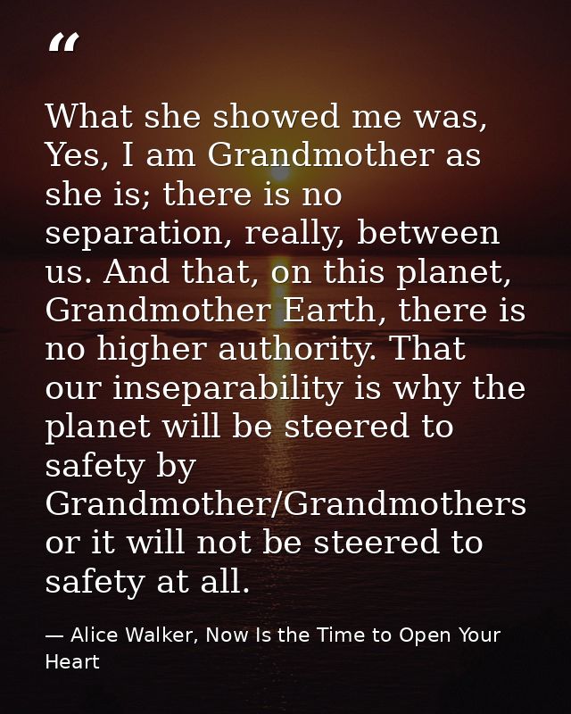 What she showed me was, Yes, I am Grandmother as she is; there is no separation, really, between us. And that, on this p — Alice Walker, Now Is the Time to Open Your Heart