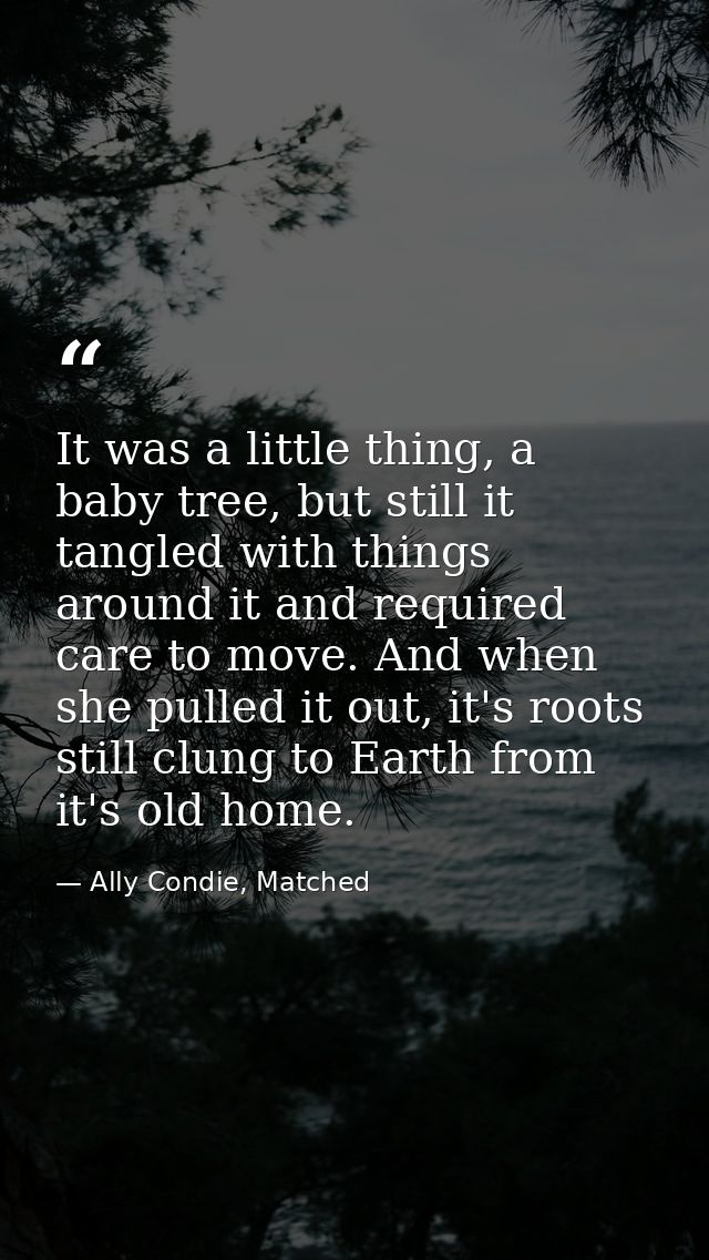 It was a little thing, a baby tree, but still it tangled with things around it and required care to move. And when she p — Ally Condie, Matched