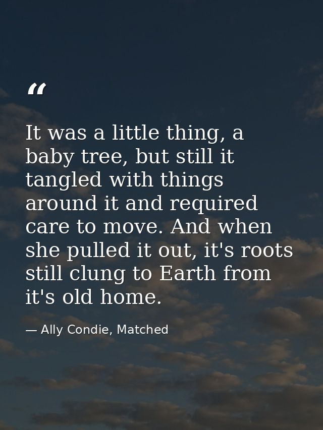 It was a little thing, a baby tree, but still it tangled with things around it and required care to move. And when she p — Ally Condie, Matched