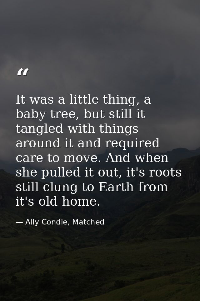 It was a little thing, a baby tree, but still it tangled with things around it and required care to move. And when she p — Ally Condie, Matched