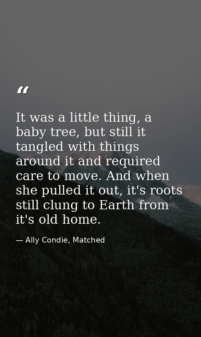 It was a little thing, a baby tree, but still it tangled with things around it and required care to move. And when she p — Ally Condie, Matched