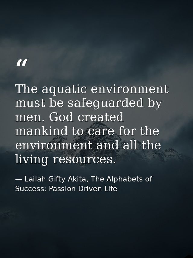 The aquatic environment must be safeguarded by men. God created mankind to care for the environment and all the living r — Lailah Gifty Akita, The Alphabets of  Success: Passion Driven Life