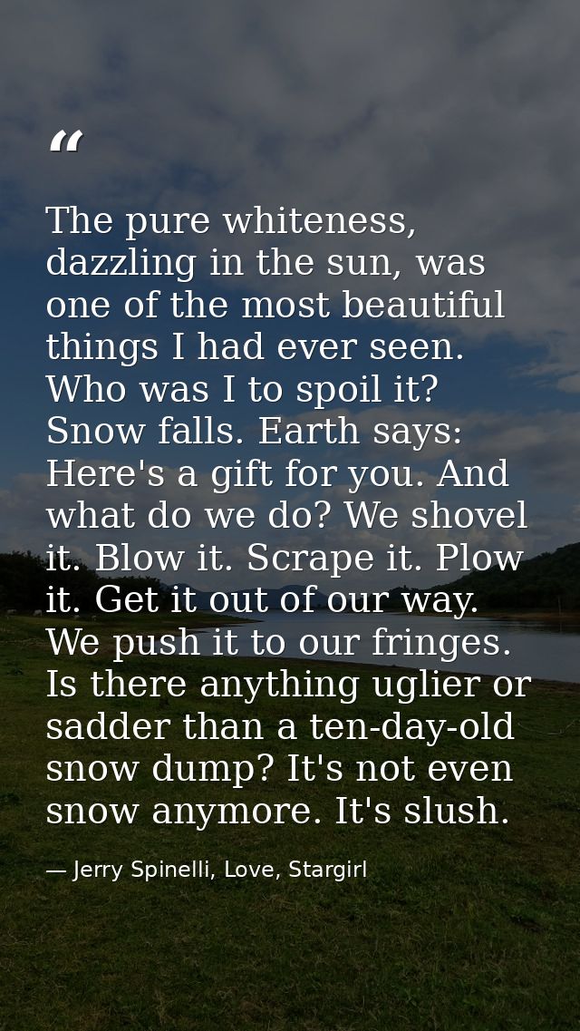 The pure whiteness, dazzling in the sun, was one of the most beautiful things I had ever seen. Who was I to spoil it? Sn — Jerry Spinelli, Love, Stargirl
