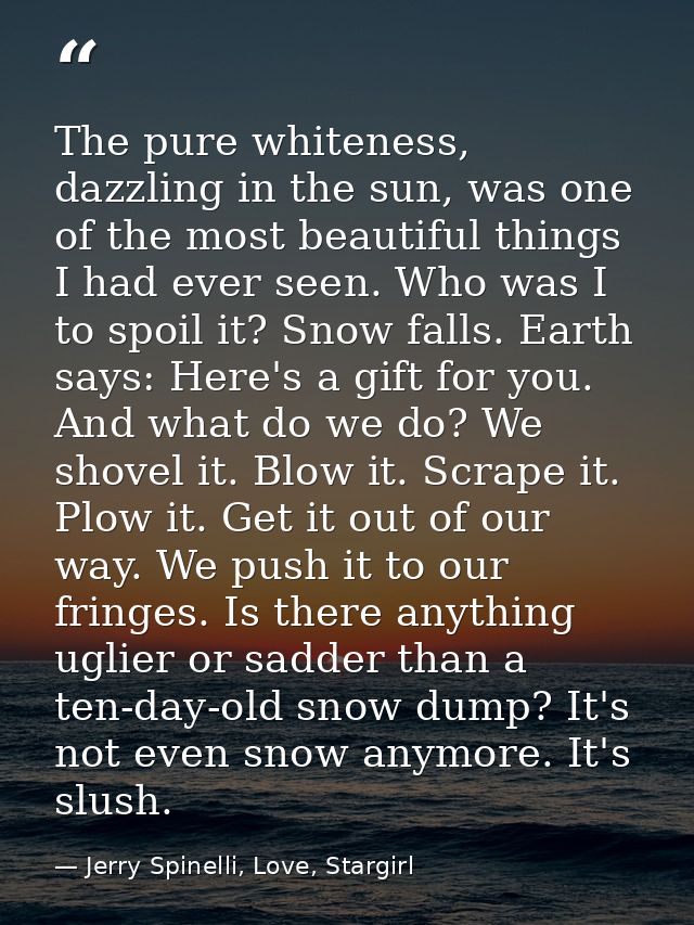 The pure whiteness, dazzling in the sun, was one of the most beautiful things I had ever seen. Who was I to spoil it? Sn — Jerry Spinelli, Love, Stargirl