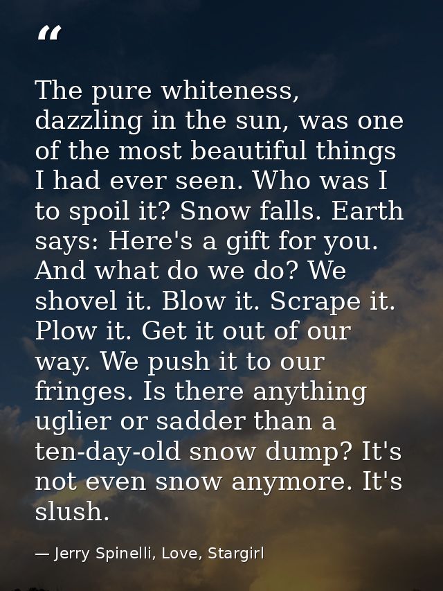 The pure whiteness, dazzling in the sun, was one of the most beautiful things I had ever seen. Who was I to spoil it? Sn — Jerry Spinelli, Love, Stargirl