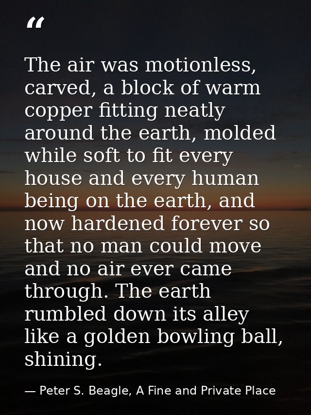 The air was motionless, carved, a block of warm copper fitting neatly around the earth, molded while soft to fit every h — Peter S. Beagle, A Fine and Private Place