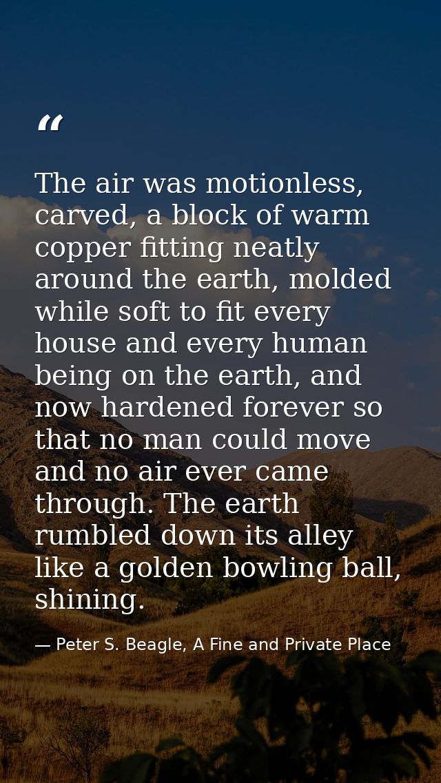 The air was motionless, carved, a block of warm copper fitting neatly around the earth, molded while soft to fit every h — Peter S. Beagle, A Fine and Private Place