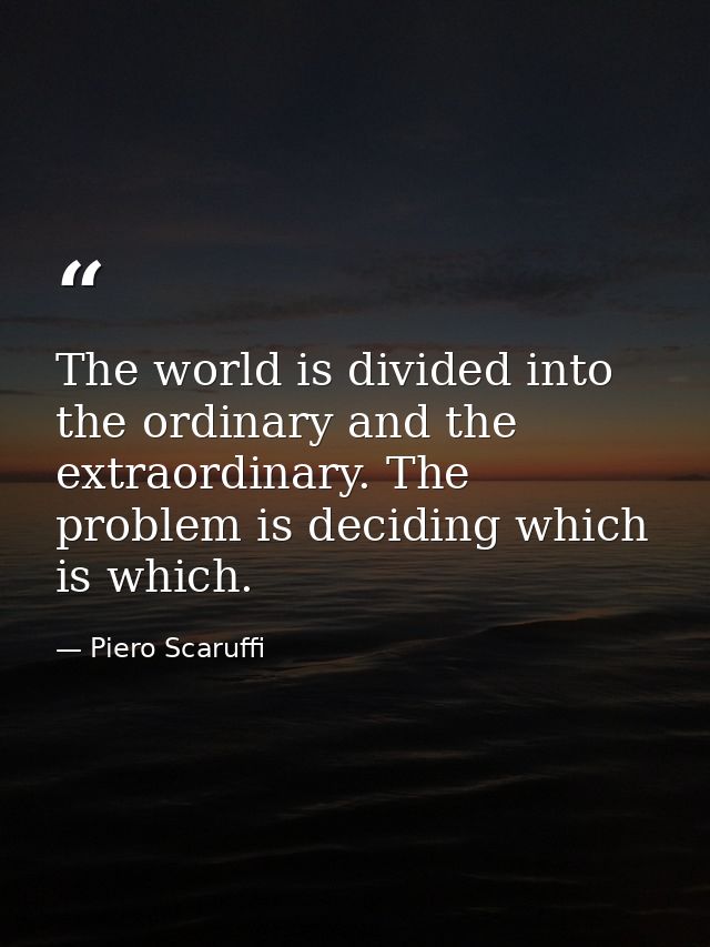The world is divided into the ordinary and the extraordinary. The problem is deciding which is which. — Piero Scaruffi