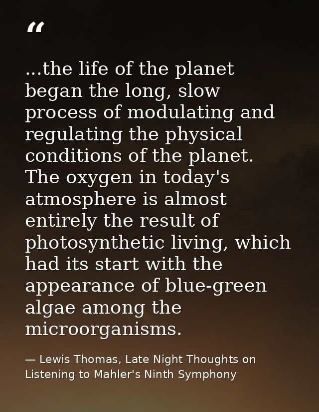 ...the life of the planet began the long, slow process of modulating and regulating the physical conditions of the plane — Lewis Thomas, Late Night Thoughts on Listening to Mahler's Ninth Symphony