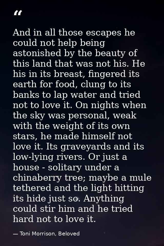 And in all those escapes he could not help being astonished by the beauty of this land that was not his. He his in its b — Toni Morrison, Beloved