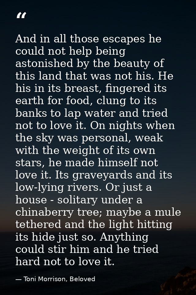 And in all those escapes he could not help being astonished by the beauty of this land that was not his. He his in its b — Toni Morrison, Beloved
