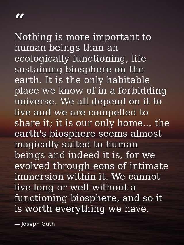 Nothing is more important to human beings than an ecologically functioning, life sustaining biosphere on the earth. It i — Joseph Guth