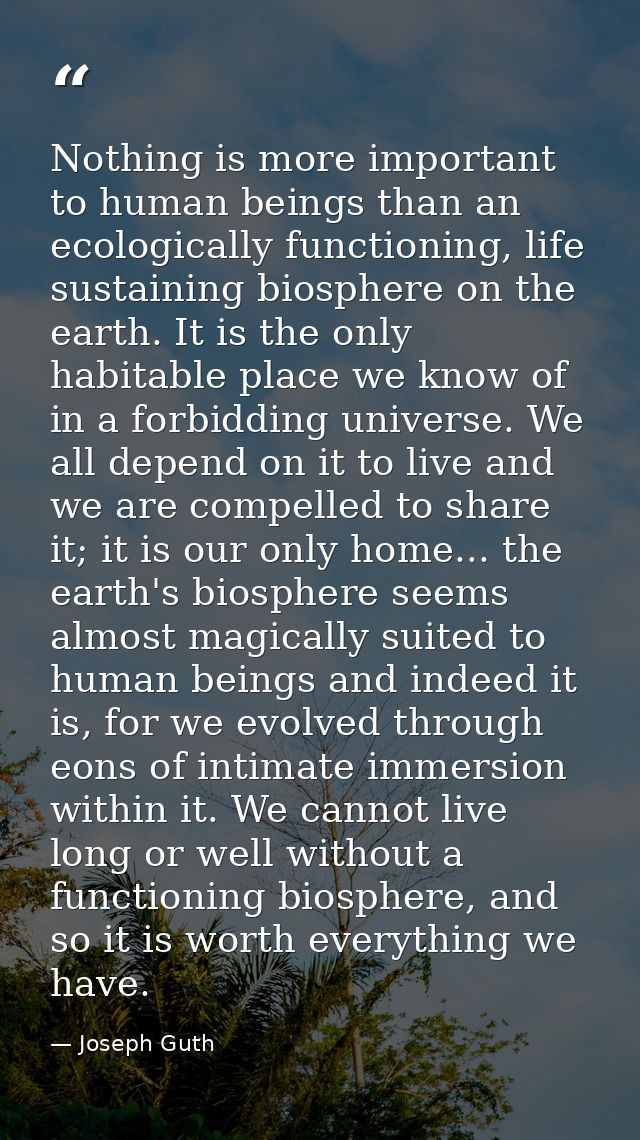 Nothing is more important to human beings than an ecologically functioning, life sustaining biosphere on the earth. It i — Joseph Guth