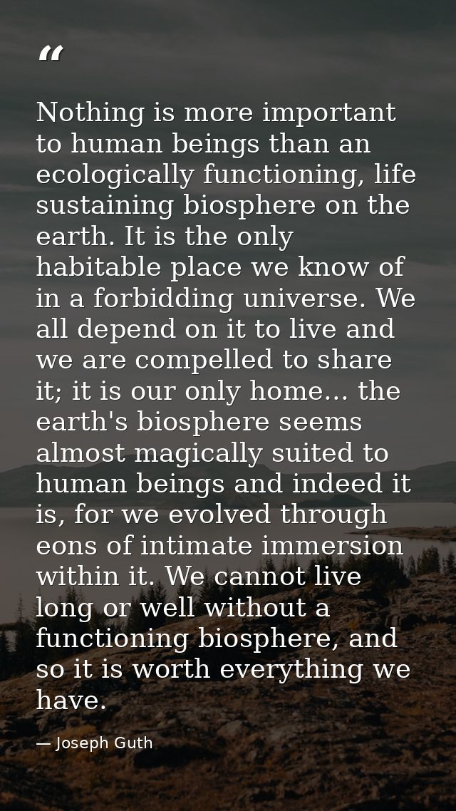 Nothing is more important to human beings than an ecologically functioning, life sustaining biosphere on the earth. It i — Joseph Guth