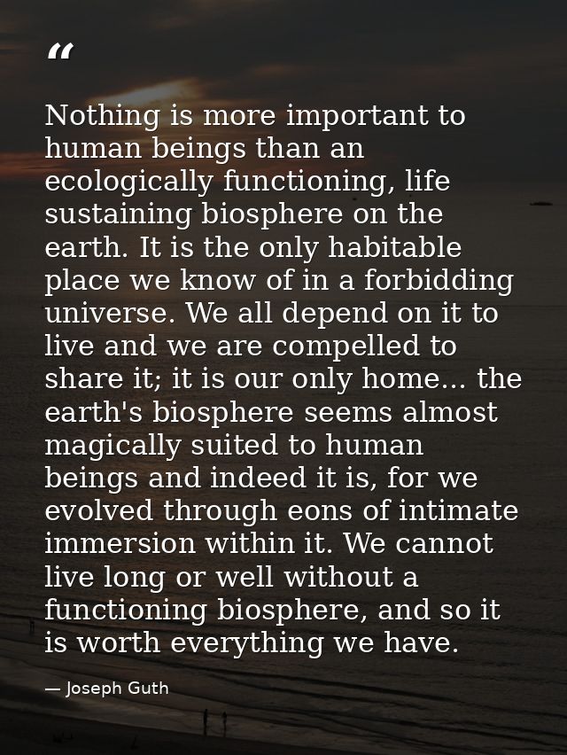 Nothing is more important to human beings than an ecologically functioning, life sustaining biosphere on the earth. It i — Joseph Guth