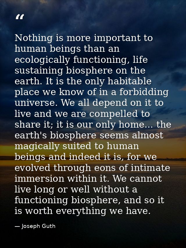 Nothing is more important to human beings than an ecologically functioning, life sustaining biosphere on the earth. It i — Joseph Guth