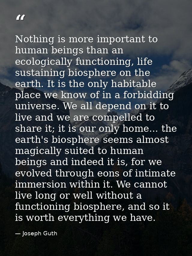 Nothing is more important to human beings than an ecologically functioning, life sustaining biosphere on the earth. It i — Joseph Guth
