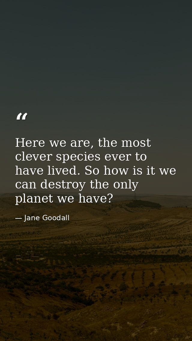 Here we are, the most clever species ever to have lived. So how is it we can destroy the only planet we have? — Jane Goodall