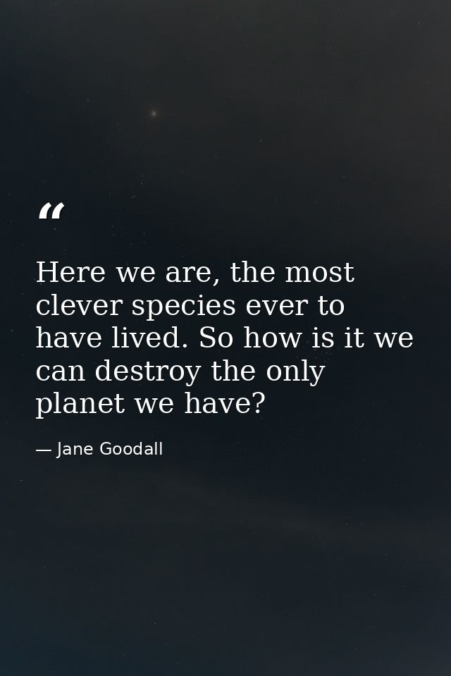 Here we are, the most clever species ever to have lived. So how is it we can destroy the only planet we have? — Jane Goodall