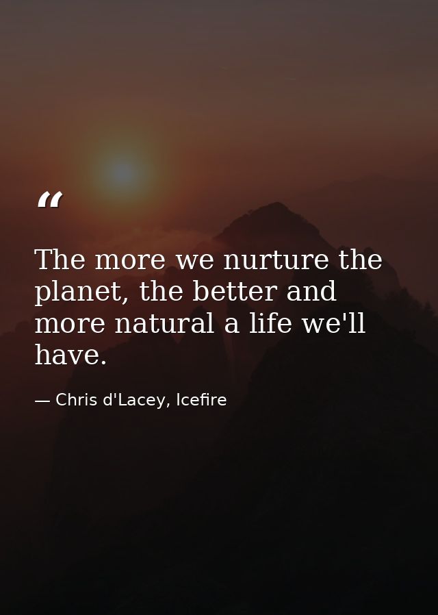 The more we nurture the planet, the better and more natural a life we'll have. — Chris d'Lacey, Icefire