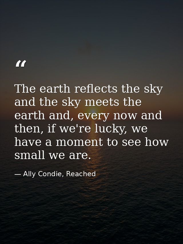 The earth reflects the sky and the sky meets the earth and, every now and then, if we're lucky, we have a moment to see  — Ally Condie, Reached