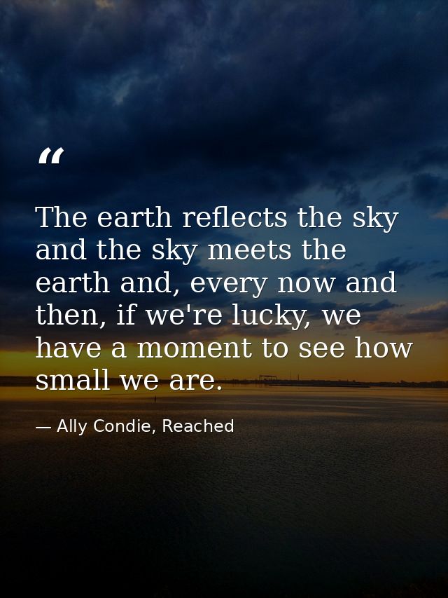 The earth reflects the sky and the sky meets the earth and, every now and then, if we're lucky, we have a moment to see  — Ally Condie, Reached